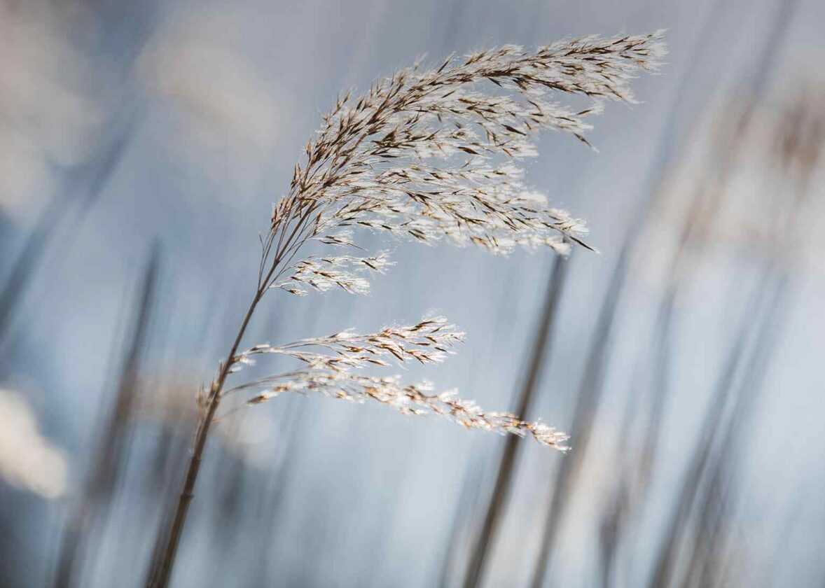 My Partner Wants a Divorce but I’m Not Ready: What Do I Do?